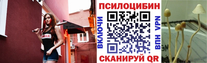 Псилоцибиновые грибы Psilocybe  Котово 